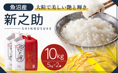 令和7年産 魚沼産 新之助 10kg(5kg×2袋) お米 米 コメ 