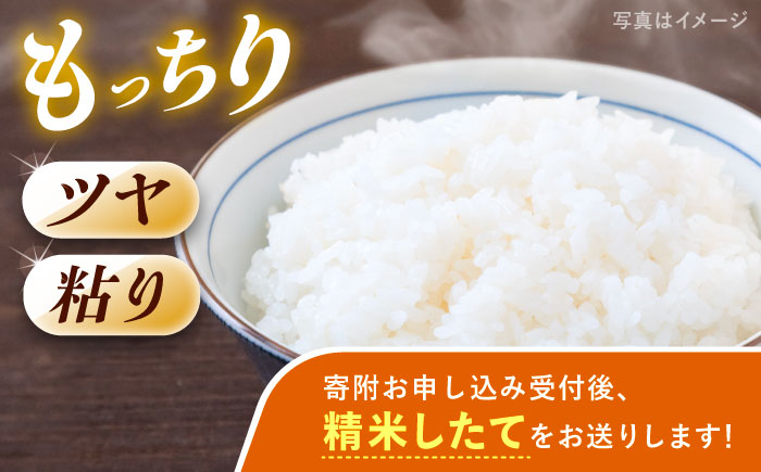 上矢作産 農家自慢のこしひかり（精米）6kg / 米 こめ コメ 白米 精米 こしひかり コシヒカリ / 恵那市 / 梅本勝司 [AUAL001]