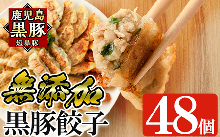 餃子 鹿児島黒豚「短鼻豚」無添加餃子セット48個【鹿児島ますや】a441