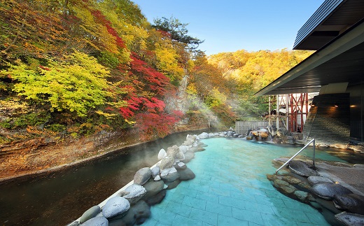 岩手県花巻市ANAトラベラーズホテル割引クーポン(30,000点)