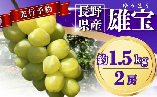 【2025年先行予約】ぶどう 雄宝(ゆうほう) 約1.5kg(2房) ｜ 果物 フルーツ ぶどう 葡萄 ブドウ 種無し 種なし 皮ごと 千曲市 長野県 信州