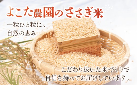 【6ヵ月定期便】令和8年産 コシヒカリ 玄米 20kg 新米 米 こしひかり 茨城県産こしひかり コシヒカリ 茨城産こしひかり 茨城こしひかり 茨城県産 こめ コメ お米 2026年産 ごはん 数量限