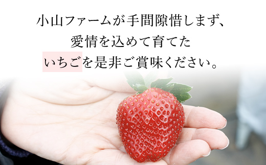 【先行予約】【2027年1月中旬より順次発送】いちご食べ比べセット（最大6品種の食べ比べ） SMAN064