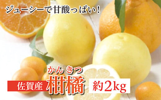 
柑橘 詰め合わせ 佐賀 産 約 2kg | 佐賀県 産 柑橘 みかん オレンジ 旬 人気 詰め合わせ _b-375
