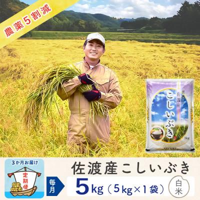 ふるさと納税 佐渡市 【毎月定期便】佐渡島産こしいぶき 白米5Kg 〜農薬5割減〜全3回