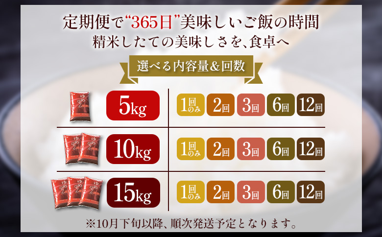 【令和8年度産】 ゆめぴりか精米定期便  (10kg×2回)【11034】