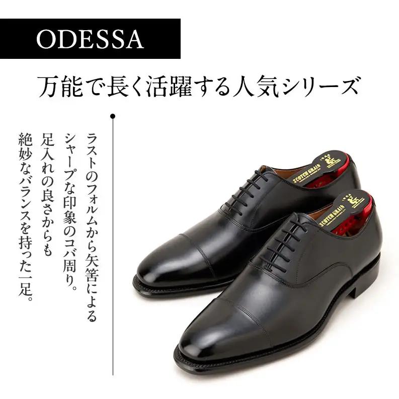 スコッチグレイン ビジネスシューズ メンズ オデッサ 916 ストレートチップ 革靴 本革 日本製 E 送料無料 ギフト 26.0cm