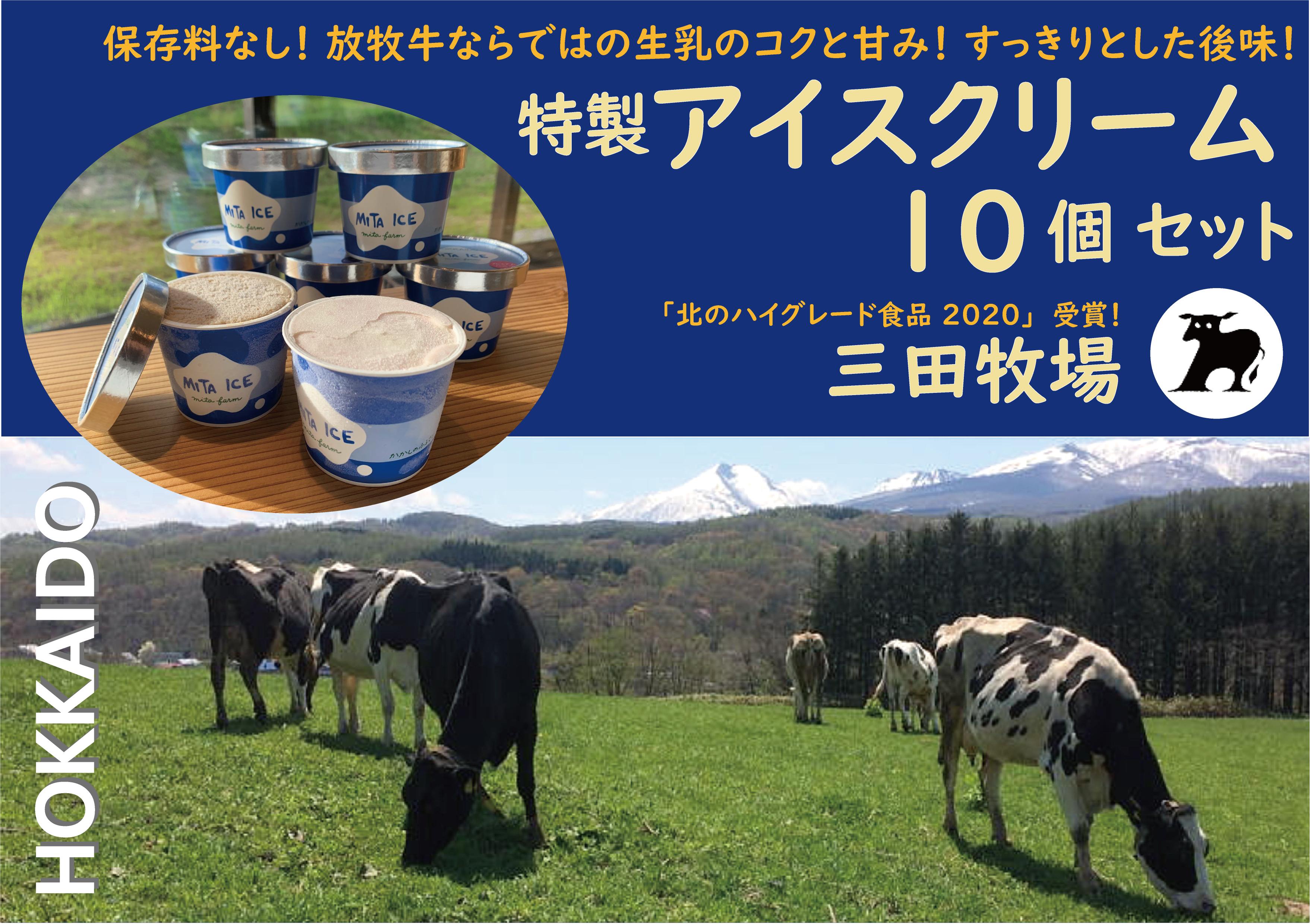 
            アイス 三田牧場 特製 アイスクリーム 10個 セット ミルク チョコレート いちごみるく ラムレーズン 抹茶 お菓子
          