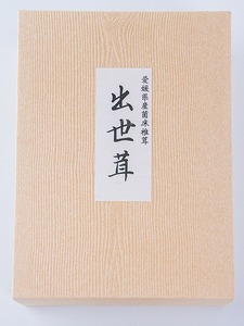 内子町産　生しいたけ　15枚入｜【しいたけ きのこ 生椎茸 シイタケ キノコ 茸 椎茸 美味しい 椎茸 なましいたけ シイタケ 大人気 しいたけ 椎茸 しいたけ シイタケ 生しいたけ 生椎茸 愛媛県 