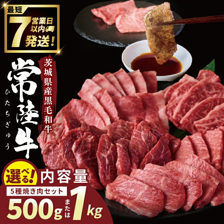 【ふるさと納税】【選べる内容量】常陸牛5種焼肉セット希少部位入り　(2~3人前 500g）（4~5人前1kg)【常陸牛 国産牛 和牛 牛肉 切り落とし 焼肉セット 希少部位 茨城県 水戸市】（NW-12）