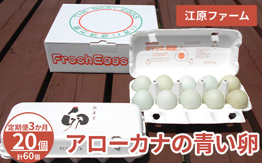 
            【定期便3か月】 江原ファーム　アローカナの青い卵（20個）｜卵 たまご タマゴ 生みたて 産みたて 新鮮 濃厚 健康 青い卵 産地直送_AG28
          