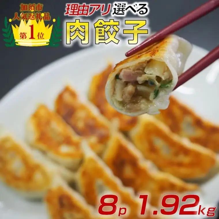 訳あり 冷凍肉餃子：8パック 中華 餃子