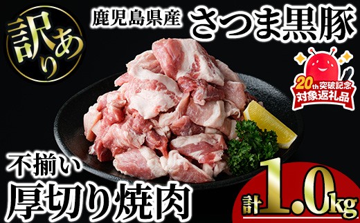 
                  【訳あり】鹿児島県産さつま黒豚 不揃い厚切り焼肉 (計1.0kg・1.0kg×1P) 鹿児島県産 豚肉 黒豚 【KNOT】 A1166-v01
                