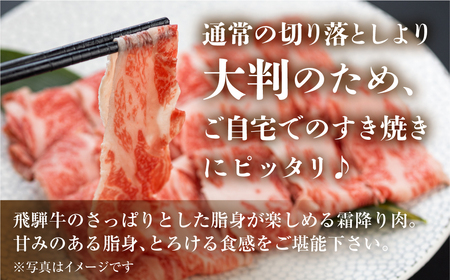 訳あり 飛騨牛 すき焼き用 切落し 300g 切り落とし すき焼き 霜降 霜降り肉 肉 牛肉 お肉 和牛 冷凍 岐阜県 部位お任せ 形 不揃い 国産 ブランド牛 10000円 [S543]
