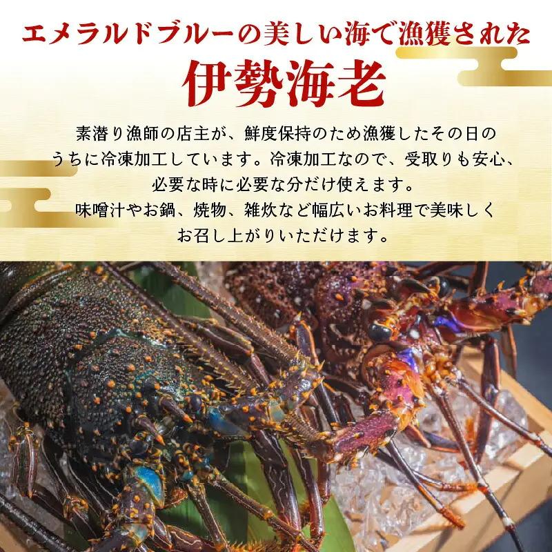 沖永良部島 直送 ！ 素潜り漁師 オススメ の 冷凍 伊勢海老 約 1kg （ 1 ～ 3匹 ）！ W030-003u 海鮮 エビ