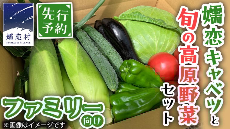 
            【 8月下旬発送開始】 嬬恋 キャベツ と旬の 高原 野菜 セット 4人様 ファミリー向け 旬の野菜 先行予約 きゃべつ 群馬 419 嬬恋キャベツ 産地直送 詰め合わせ アソート [AK002tu]
          