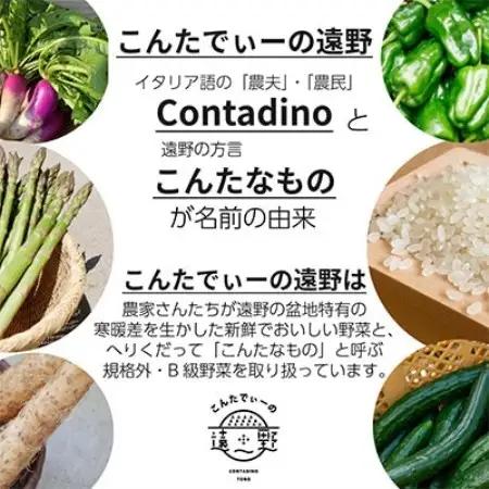 【毎月定期便】旬のとれたて野菜セット(5~7品)ライトサイズ【こんたでぃーの遠野】全3回【配送不可地域：離島】【4066184】
