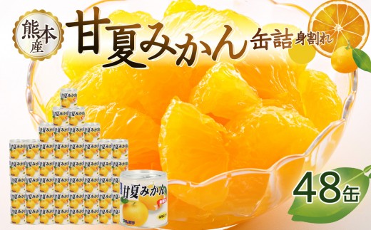 甘夏みかん 缶詰 24缶入り×2箱 計48缶 セット (身割れ) はちみつ入りシラップ 甘夏 みかん 国産 シロップ 爽やか 長期保存 備蓄 缶づめ 福岡県 八女市