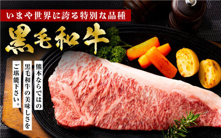 熊本県産 黒毛和牛 × あか牛 ロース ステーキ 食べ比べ 約 300g×2枚【有限会社 九州食肉産業】[ZDQ086]