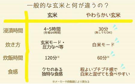 やわらかい玄米 900g　※6回定期便　小分け 米 こめ コメ ごはん 栄養豊富 簡単 便利 美容 健康 新食感 もちもち 安心安全なヤマトライス　H074-648