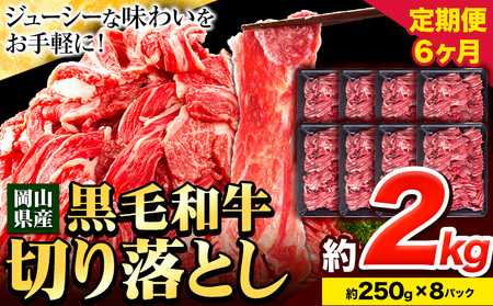 【6ヶ月定期便】牛肉 肉 黒毛和牛 切り落とし 訳あり 大容量 小分け 2kg 1パック 250g 定期便《お申込み月翌月から出荷開始》岡山県産 岡山県 笠岡市 お肉 にく カレー 牛丼 切り落し 切落し