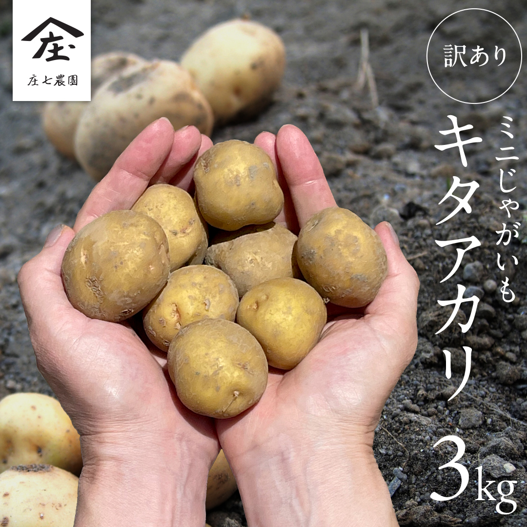 【訳あり】ミニ ジャガイモ ( キタアカリ ) 3kg 田んぼで作ったころころジャガイモ 新じゃが じゃがいも 北あかり 芋 大容量 家庭用 小粒 野菜 根菜 産地直送 新鮮 5000円 [BK48-NT]