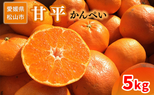 ＜ご家庭用＞1月下旬から発送 甘平5kg （ 愛媛 みかん 先行予約 蜜柑 柑橘 果物 くだもの フルーツ お取り寄せ グルメ 期間限定 数量限定 人気 おすすめ 愛媛県 松山市 ）