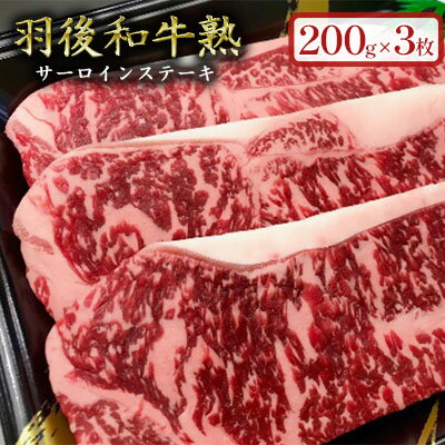 【ふるさと納税】「羽後和牛」の生みの親 「羽後和牛 熟」サーロインステーキ200g×3枚　サーロインステーキ・ステーキ・羽後和牛・和牛
