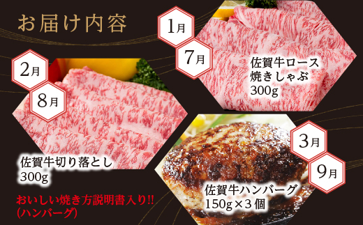 【定期便12回】極上の佐賀牛 食べ比べ 毎月お届け 全12回 月替り 佐賀牛厳選 定期便 _g-10