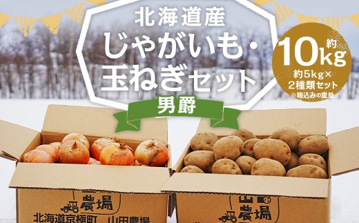 北海道産 じゃがいも 男爵 玉ねぎ セット M～2Lサイズ混載 各約5kg 合計約10kg 2箱 セット 野菜 ジャガイモ 玉葱 たまねぎ 山田農場 京極町産 北海道産 国産 【2026年10月上旬-2027年1月上旬迄発送予定】