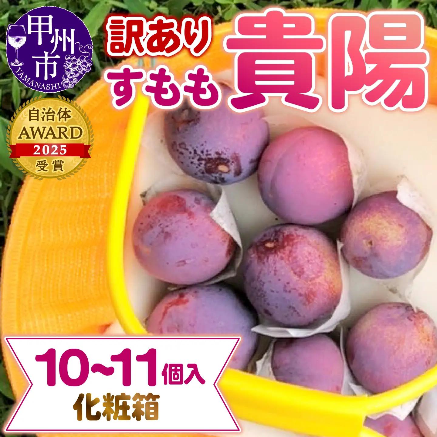 【訳あり】童夢のすもも「貴陽」化粧箱 10～11玉（約1.1～1.4kg）【2026年発送】（DOM）A05-141 すもも フルーツ