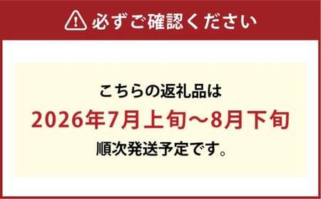 [HS]温室 シャインマスカット 晴王 2房 約1.2kg【2026年7月上旬～8月下旬発送予定】マスカット 葡萄 ぶどう ブドウ フルーツ 果物 くだもの デザート 冷蔵 岡山県 倉敷市