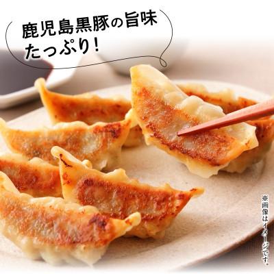 ふるさと納税 南九州市 鹿児島黒豚餃子12P(計144個) |  | 01