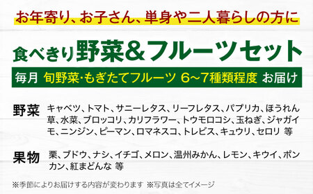【全3回定期便】　【シェフの目線】 野菜×フルーツセット （6-7種）　少量食べきりセット　 野菜 果物 やさい 少量セット 食べきり[AGBX048]