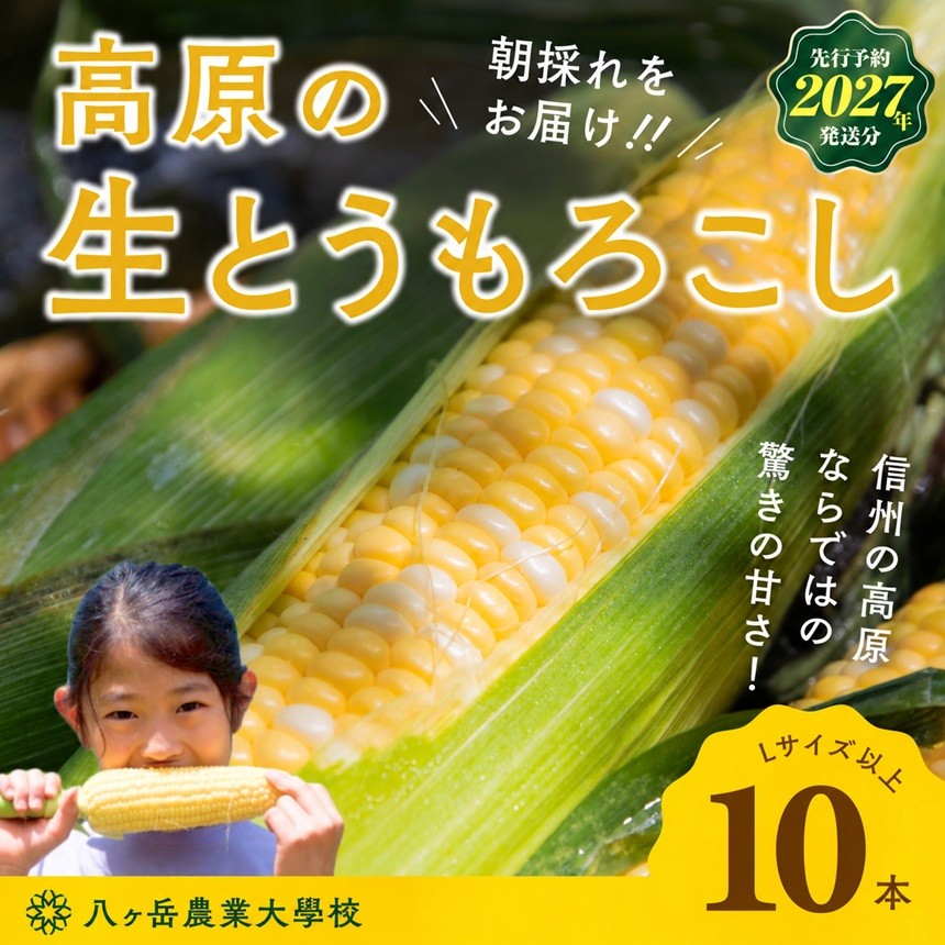 
                  【2027年予約】 朝採れ 直送 フルーツのような甘さ 『 皮付き 』 生とうもろこし 10本 ＜2027年8月上旬以降順次発送予定＞ | 八ヶ岳農業大学校 トウモロコシ とうもろこし 自然 旨味 甘味 生食 信州 八ヶ岳 長野県 諏訪郡 原村
                