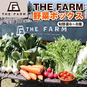 【ふるさと納税】THE FARMの 野菜 詰め合わせセット こだわり厳選した旬な野菜をお届け!【配送不可地域：離島・沖縄県】【1263207】