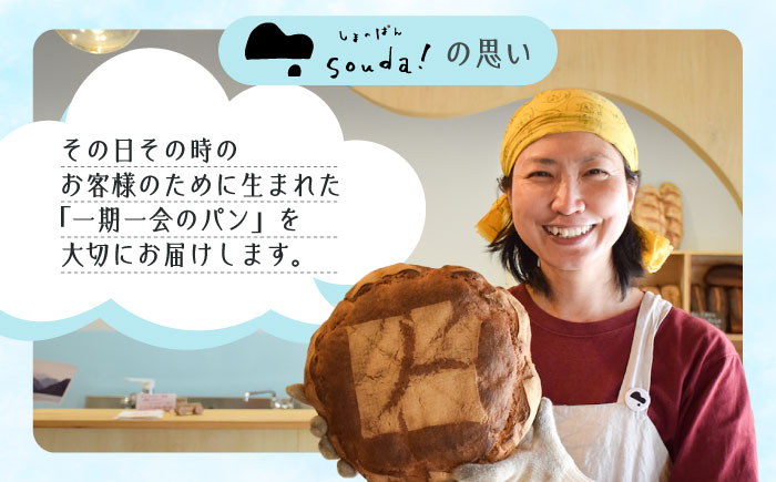 こだわりの石窯焼き！【全6回定期便】こだわり石窯パン 詰め合わせ (2～3種) パン パン屋 カフェ 朝食 おやつ 江田島市/しまのぱん souda！ [XAQ005]