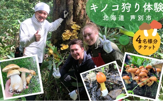 体験 北海道 季節のキノコ狩り 体験チケット 4枚 (4名様分) ioru 体験型 旅行 子供 大人 アクティビティ アウトドア スポーツ ギフト券 チケット 券 きのこ キノコ きのこ鍋 煮物 渓流 芦別市[№5342-0934]