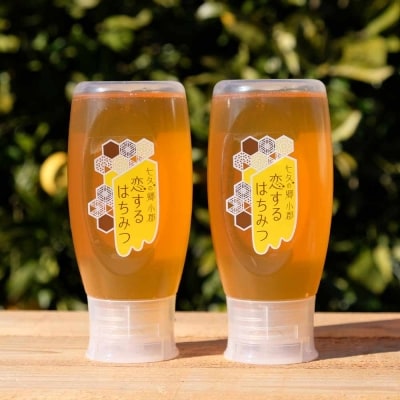 【ふるさと納税】数量限定 はちみつ 恋するはちみつ 500g 2本 セット 詰め合わせ もちの木プレミアム 天然 国産 天然はちみつ 天然蜂蜜 天然ハチミツ 国産はちみつ 国産蜂蜜 国産ハチミツ はちみつ 蜂蜜 ハチミツ フルーティー 幻 ハニー 限定 福岡 福岡県 小郡市