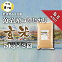 【ふるさと納税】〔定期便 毎月〕〔玄米 選別品〕令和6年産 魚沼産コシヒカリ 玄米 定期便 5kg×3回【毎月お届け】 米 お米 おこめ ブランド米 こしひかり コシヒカリ 産地直送 お取り寄せ おいしい おすすめ 人気 米太 新潟 魚沼 小千谷市 KT35P348