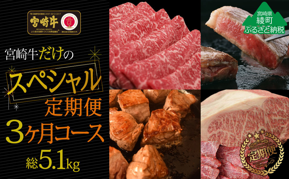 
【定期便】宮崎牛だけのスペシャル3か月コース 5.1kg（36-223）
