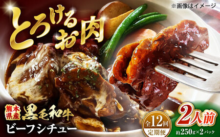 【全12回定期便】 熊本県産 くまもと黒毛和牛 黒毛和牛 こだわりのビーフシチュー 計2パック （約250g×2パック） ビーフシチュー ビーフ シチュー 牛肉 肉 　【有限会社スイートサプライなかぞの】[ZBV110]