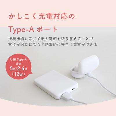 ふるさと納税 海老名市 5000mAh モバイルバッテリー USB Type-C入出力/USB Type-A出力 ブラック |  | 03