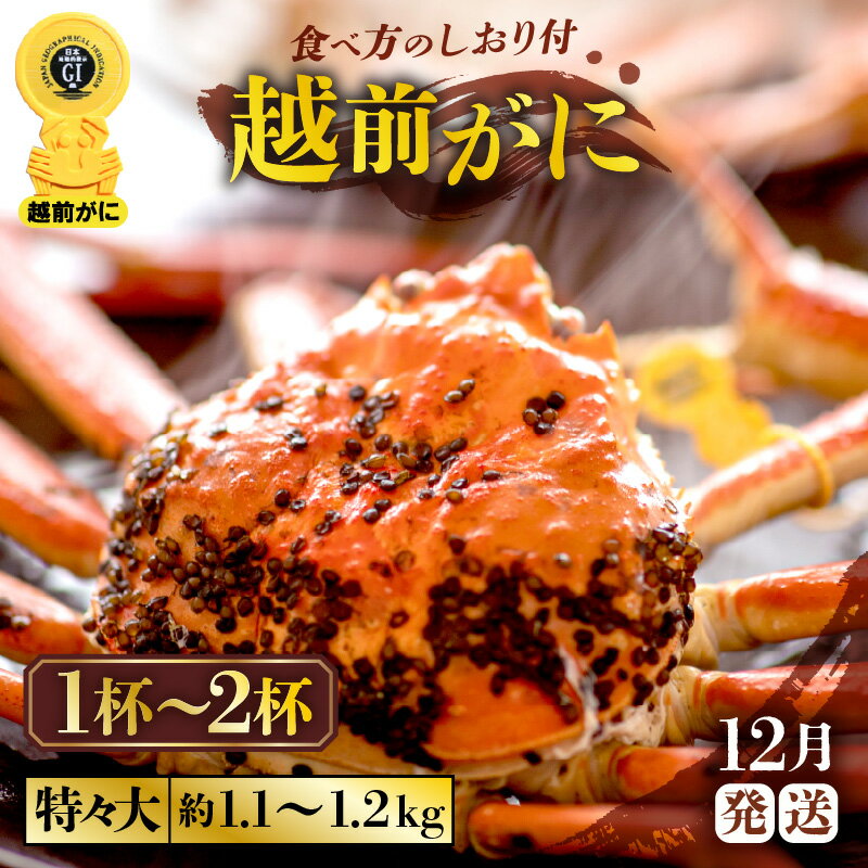 【ふるさと納税】≪浜茹で≫越前がに 特々大サイズ （生で1杯約1.1〜1.2kg）食べ応え十分 食べ方しおり付き 【選べる杯数！1〜2杯】【雄 ズワイガニ 越前ガニ 姿 ボイル 冷蔵 かに カニ 蟹 福井県】【12月発送分】希望日指定可 備考欄に希望日をご記入ください