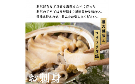 【2025年発送受付】北海道利尻島産 天然〈活〉蝦夷アワビ1.5kg（13～20個）【10月下旬～12月下旬発送】 [1030024]