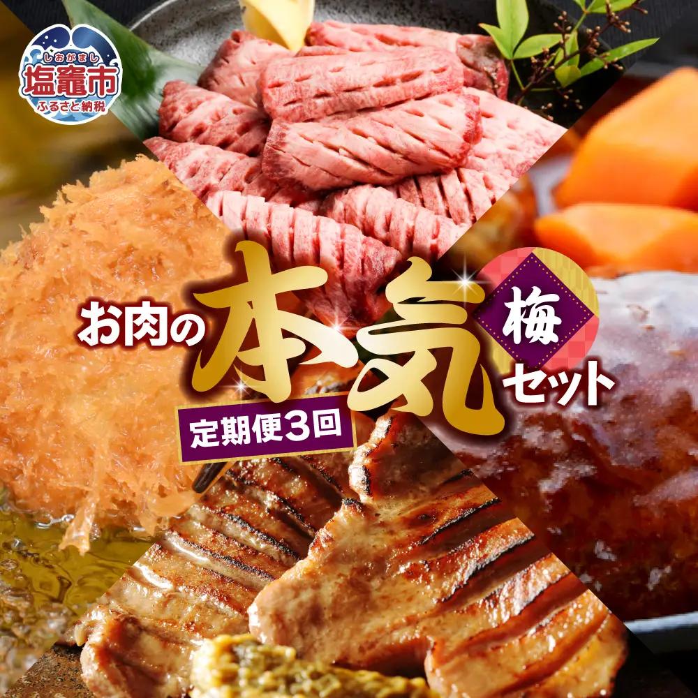 【定期便】お肉屋さんのお肉の本気詰合せセット・梅 ＜全3回の定期便＞　【04203-0436】