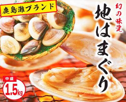 KBL-4　鹿島灘特産★ブランド地はまぐり（中盛り1.5kg） BBQ 　貝類　はまぐり 鹿嶋灘 鹿嶋市 茨城県 送料無料