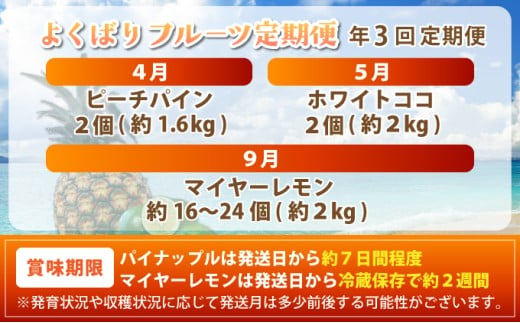 《年3回発送》パイナップル好きにおすすめ！某TV番組で紹介された希少なホワイトココとピーチパイン、マイヤーレモンの定期便 TF-066-t03