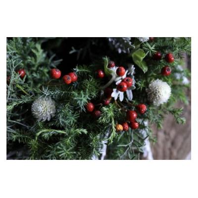 ふるさと納税 春日井市 Xmas限定　クリスマスリース Φ20 クリスマス　おしゃれ |  | 02