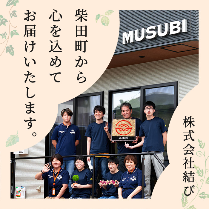 モスインテリア「WELCOME」(フクシャ) ＜横300mm・高さ80mm・幅15mm＞ 観葉植物  苔 コケ テラモス インテリア 植物 【結び】 sh027-A